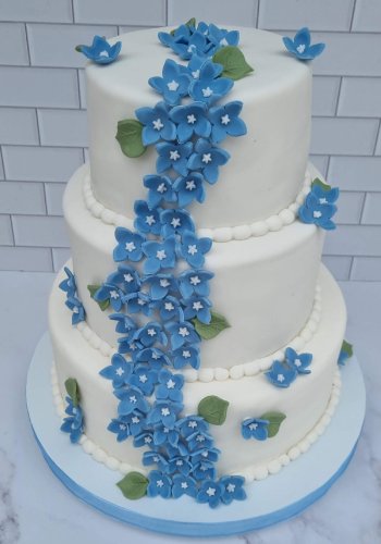 DeleiteCFoto 15 y bodas4